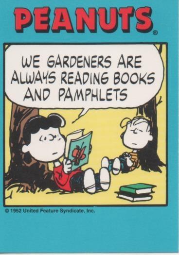 Cromo E003295: Trading Card. Peanuts Classics, nº 22 June 9, 1979