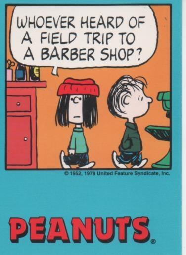 Cromo E003292: Trading Card. Peanuts Classics, nº 18 November 7, 1979