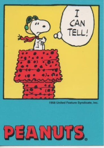 Cromo E003289: Trading Card. Peanuts Classics, nº 15 February 8, 1979