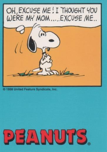 Cromo E003384: Trading Card. Peanuts Classics, nº 145 April 16, 1969