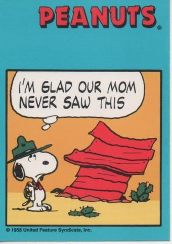 Cromo E003382: Trading Card.Peanuts Classics, nº 143 August 16, 1979