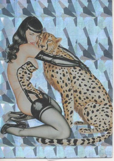 Cromo E003429: Trading Card. Olivia II, nº 2 Betty's Cat