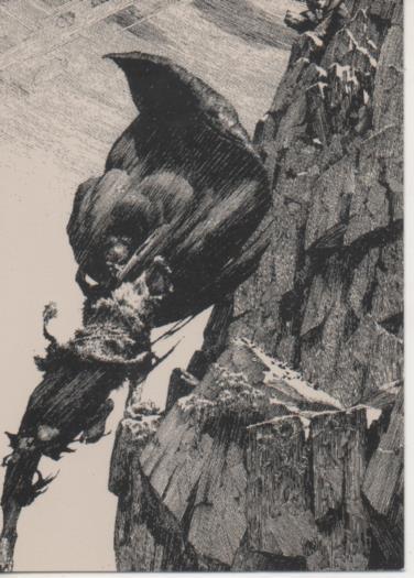 Cromo E003129: Trading Card, Frankenstein, F27 Desending the Mountain