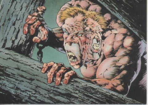 Cromo E003212: Trading Card, Master of the Macabre, nº 83 Vitus and Hjalmar