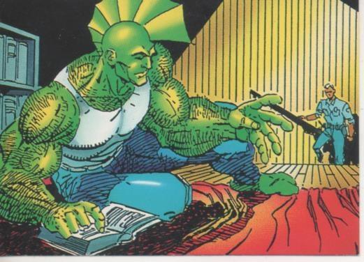 Cromo E003241: Trading Card. The Savage Dragon, nº 33 Personality