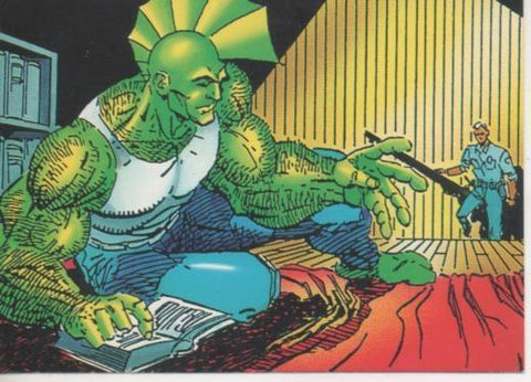 Cromo E003241: Trading Card. The Savage Dragon, nº 33 Personality
