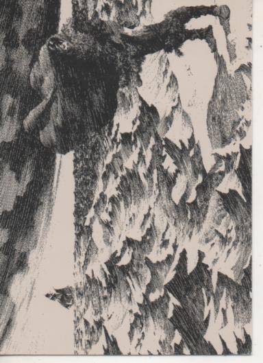 Cromo E003143: Trading Card, Frankenstein, F44, Abandoment