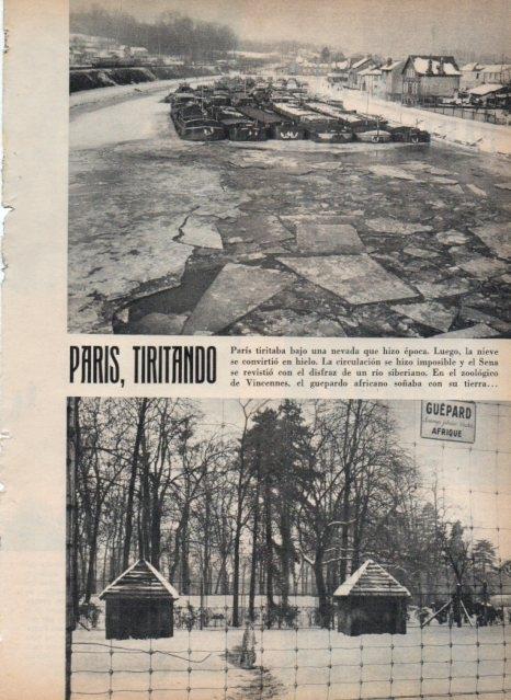 LAMINA V17354: Zoologico de Vincennes bajo la nieve