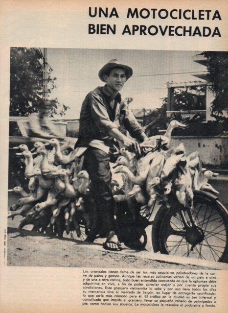 LAMINA V16985: Granjero vietnamita en bicicleta en Saigon