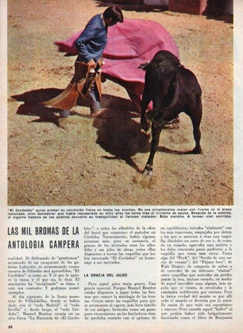 LAMINA V16902: El Cordobes en un pase