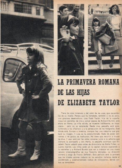LAMINA V17081: Liza Todd Taylor