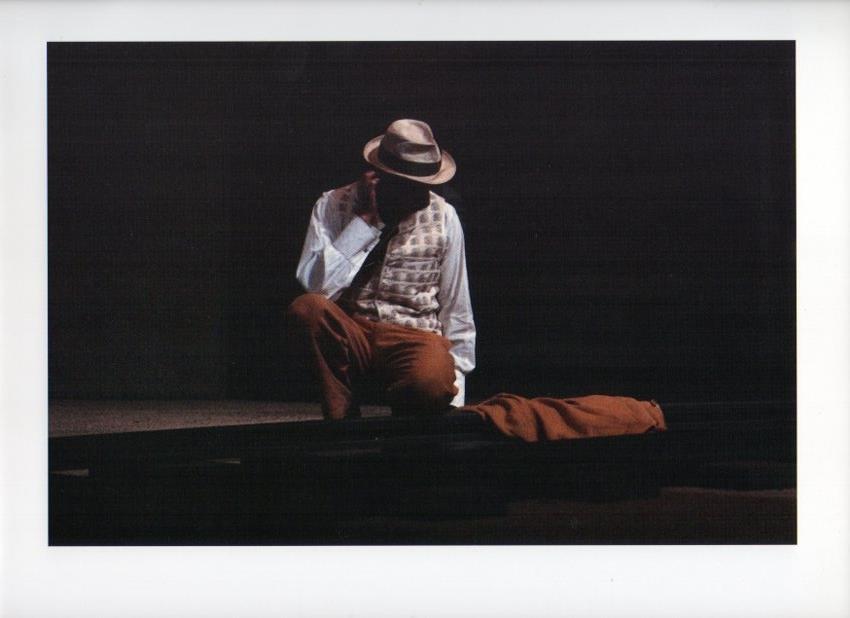 LAMINA V17824: Mel salvatge. Teatre Romea 1987