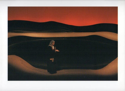 LAMINA V17833: La Celestina. Teatre Mercat de les Flors 1989