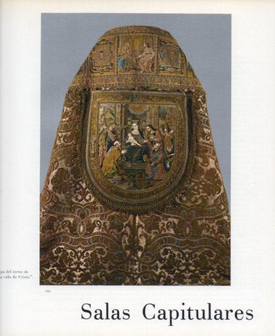 LAMINA V17650: Capa del terno de la vida de Cristo