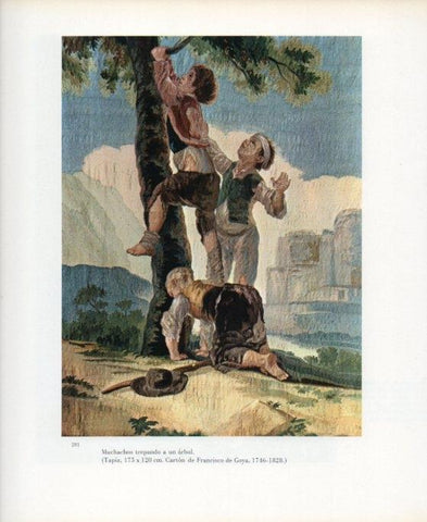 LAMINA V17693: Muchachos trepando a un arbol por Goya