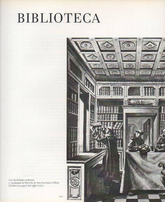 LAMINA V17662: Librería de San Lorenzo el Real codice del siglo XVIII