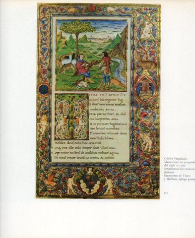 LAMINA V17672: Codice Virgiliano del siglo XV