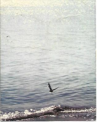 POSTAL L04809: Habia una vez un mar, por Hans Herbr