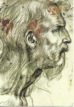 POSTAL L04825: Testa virile, por Andrea del Sarto