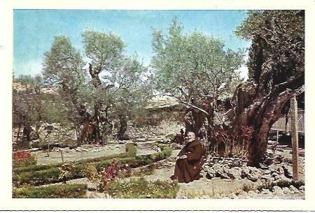 POSTAL L04862: Jardin de Getsemani en Jerusalen