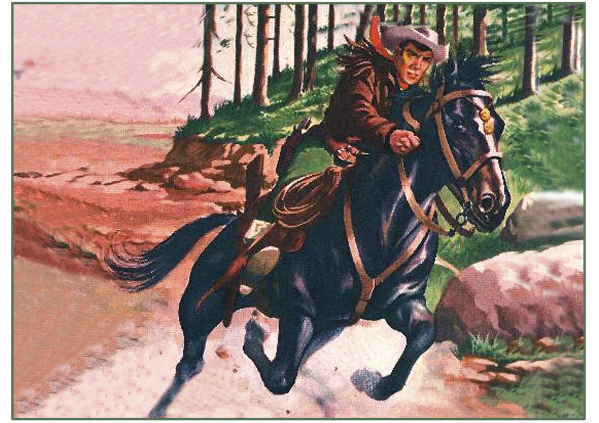 Poster DIN 4 numero 0799: Mendoza Colt