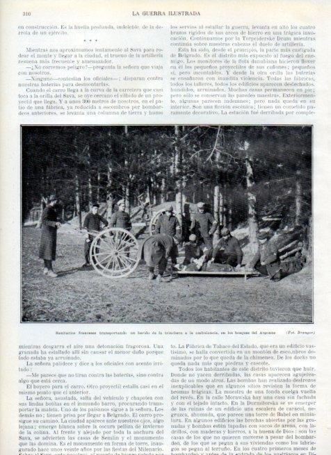 LAMINA V18017: Sanitarios franceses en los bosques de Argonne