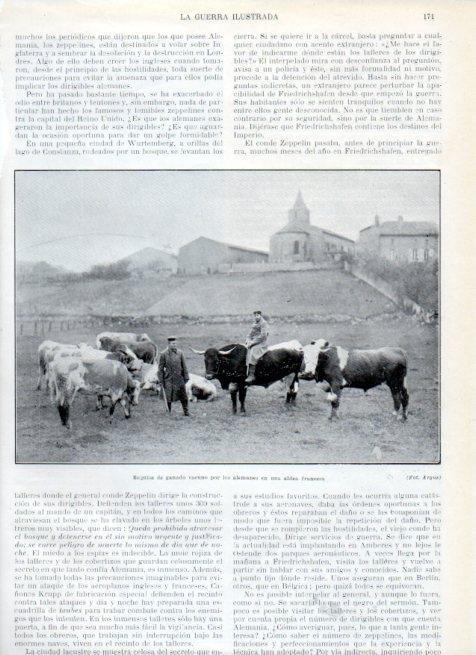 LAMINA V17940: Requisa de ganado por los alemanes en aldea francesa