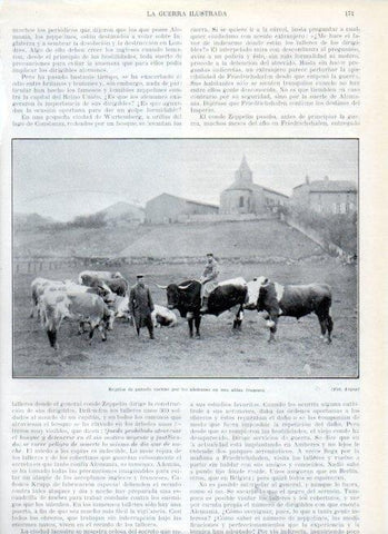 LAMINA V17940: Requisa de ganado por los alemanes en aldea francesa