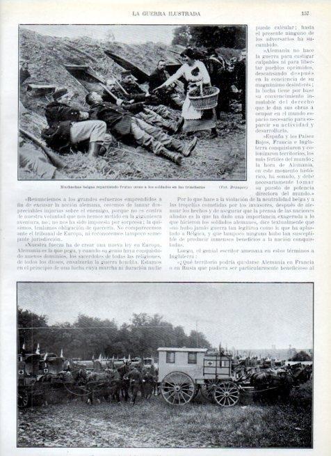 LAMINA V17934: Campamento de ambulancias en la retaguardia