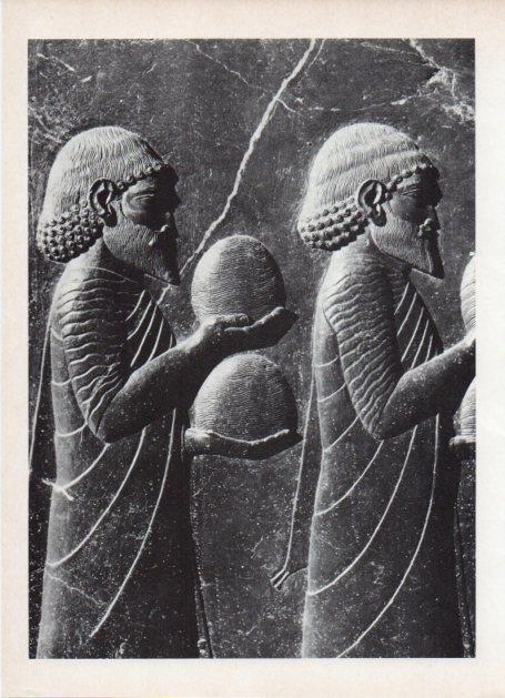 LAMINA V18638: Fragmento de la escalera de la apadana de Persepolis