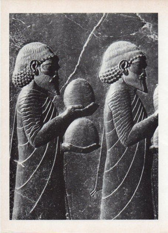 LAMINA V18638: Fragmento de la escalera de la apadana de Persepolis