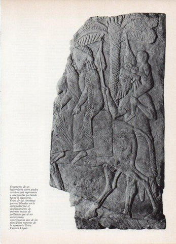 LAMINA V18564: Fragmento bajorrelieve de una familia partiendo hacia el cautiverio