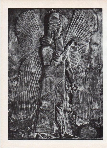 LAMINA V18570: Genio asirio bajorrelieve del Palacio de Sargon