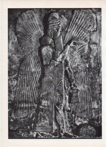LAMINA V18570: Genio asirio bajorrelieve del Palacio de Sargon
