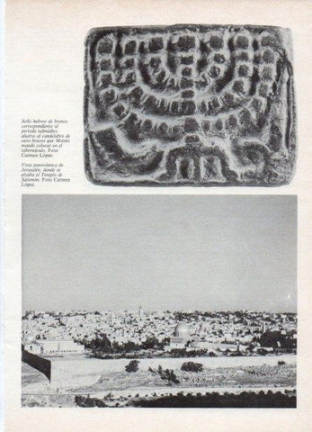 LAMINA V18573: Vista panoramica de Jerusalen