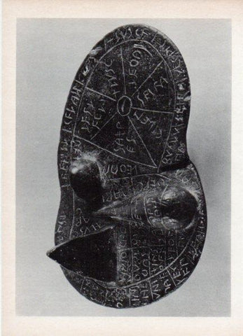 LAMINA V18544: Higado de bronce, Museo Civico Piacenza