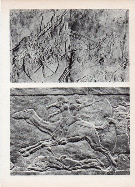 LAMINA V18551: Bajorrelieve asirio del Palacio real de Ninive
