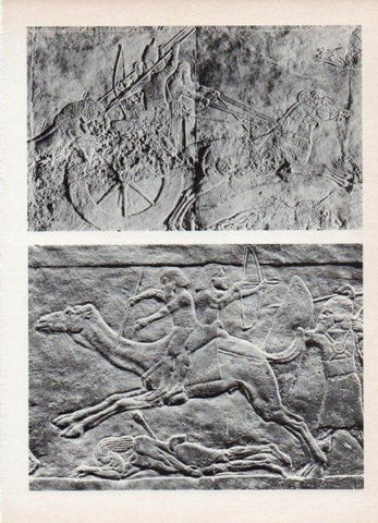 LAMINA V18551: Bajorrelieve asirio del Palacio real de Ninive