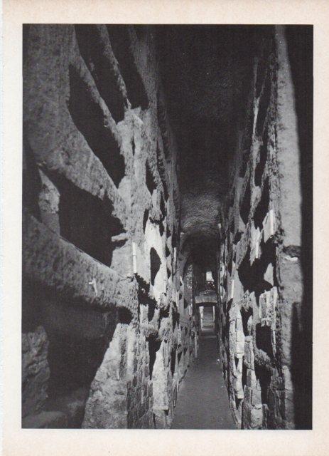 LAMINA V18752: Catacumbas de San Calixto, Roma