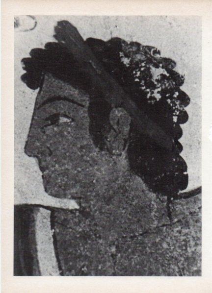 LAMINA V18532: Fragmento de una pintura etrusca al fresco