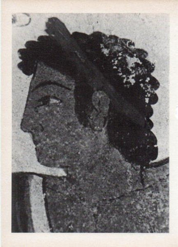 LAMINA V18532: Fragmento de una pintura etrusca al fresco