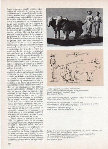LAMINA V18784: Labradores con yunta de bueyes bronce etrusco