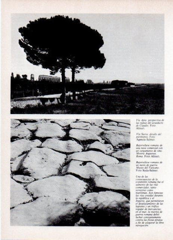LAMINA V18795: Ruinas del acueducto de Claudio en Via Apia