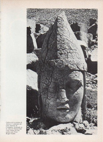 LAMINA V18769: Cabeza de la estatua de Antioco I