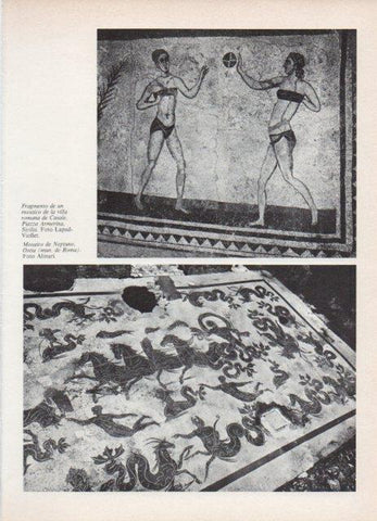 LAMINA V18772: Mosaico de Neptuno, Ostia