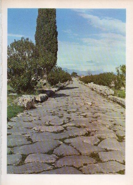 LAMINA V18530: Via Sacra, Paestum Salerno