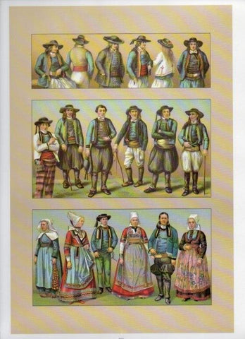 LAMINA V18459: Traditional costumes of the 1880s. France I