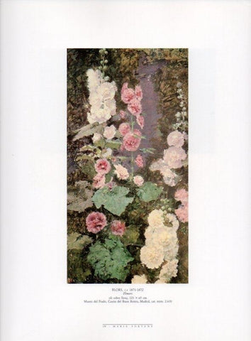LAMINA V18510: Flors per Fortuny
