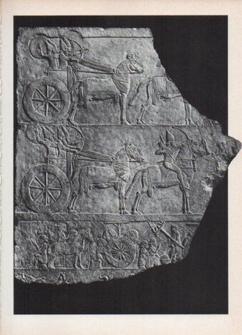 LAMINA V18522: Bajorrelieve asirio con carros de guerra, Museo del Louvre
