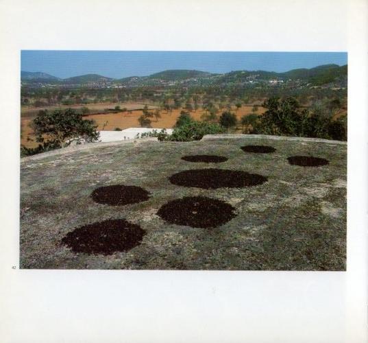 LAMINA V19599: Higos al sol en Ibiza